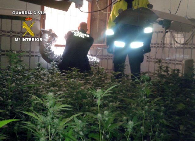 Desarticulado un importante punto de producción y distribución de marihuana en Los Nietos-Cartagena - 2, Foto 2