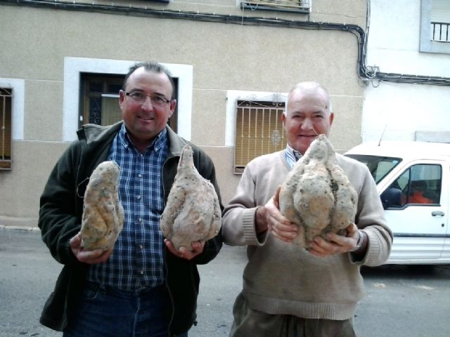 Joaquín Marín (izquierda) y Antonio Guillén muestran los tres ejemplares de boniato, Foto 1