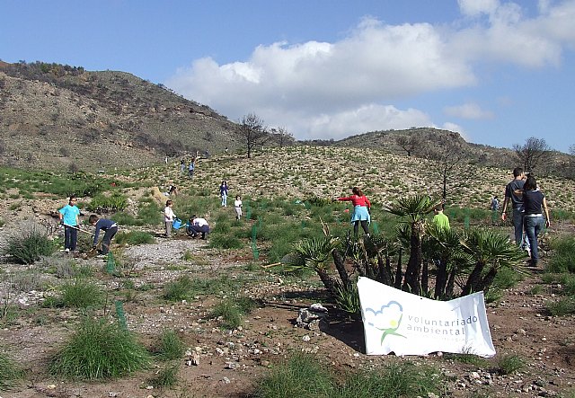 Más de 400 voluntarios ambientales participan en la recuperación ambiental de los montes del litoral afectados por incendios forestales - 1, Foto 1