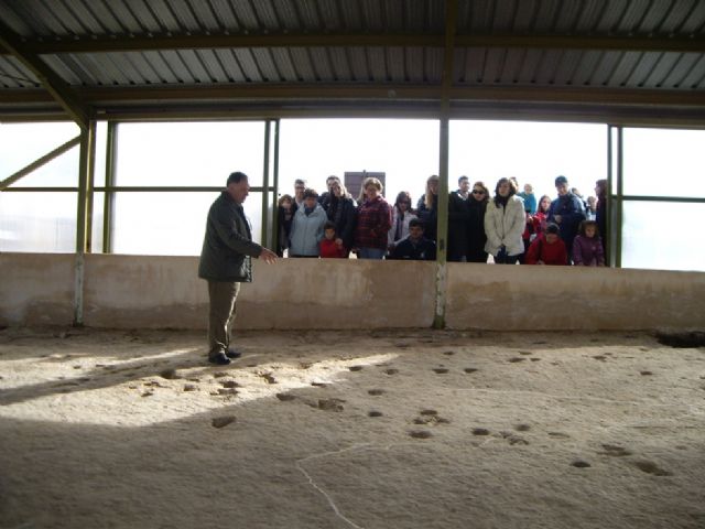 Más de cincuenta personas participaron en la visita guiada al Yacimiento de Icnitas de la Hoya de la Sima - 1, Foto 1