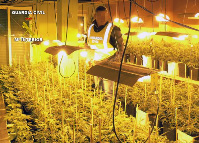 La Guardia Civil desmantela una gran plantación domiciliaria de marihuana que había dejado sin suministro eléctrico a sus vecinos - 3, Foto 3