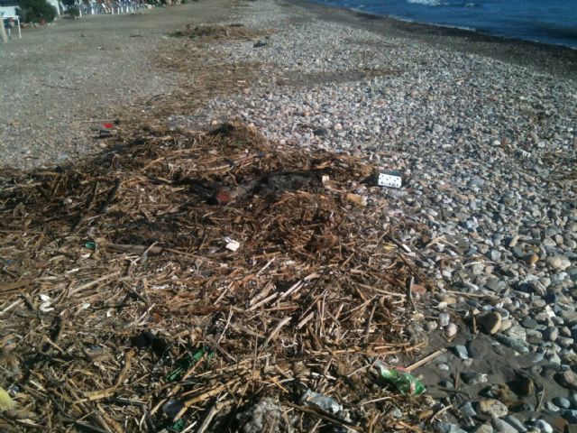 El PSOE pide al Gobierno regional que se  limpie y acondicione la playa de Puntas de Calnegre - 1, Foto 1