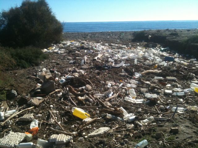 El PSOE pide al Gobierno regional que se  limpie y acondicione la playa de Puntas de Calnegre - 2, Foto 2