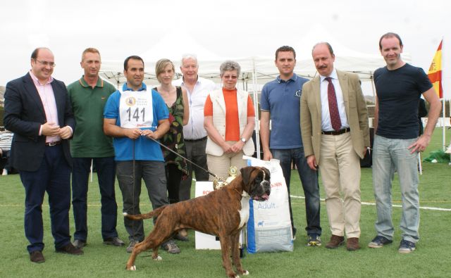 El próximo domingo se celebra el III Concurso Nacional Canino 'Ciudad de Puerto Lumbreras' en el que se exhibirán 500 ejemplares de más de 50 razas - 1, Foto 1