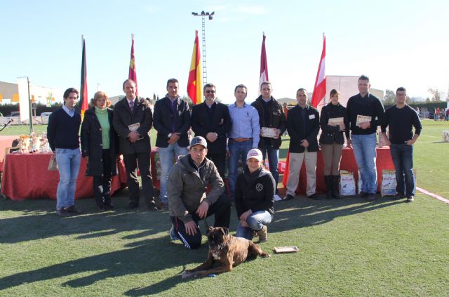 El III Concurso Nacional Canino exhibe 500 ejemplares de más de 50 razas caninas en Puerto Lumbreras - 1, Foto 1