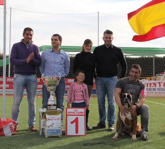 El III Concurso Nacional Canino exhibe 500 ejemplares de más de 50 razas caninas en Puerto Lumbreras - 2, Foto 2