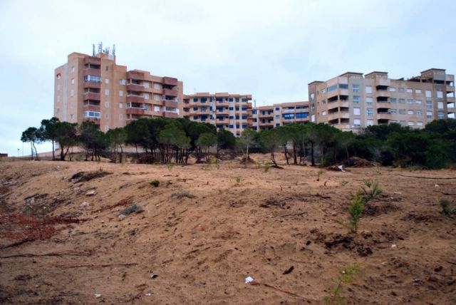 Ayuntamiento de Cartagena y ANSE restauran los arenales del Monte Blanco de La Manga - 1, Foto 1