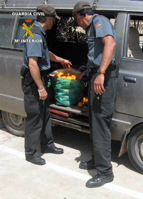 La Guardia Civil detiene a cinco personas por la sustracción de productos del campo - 1, Foto 1