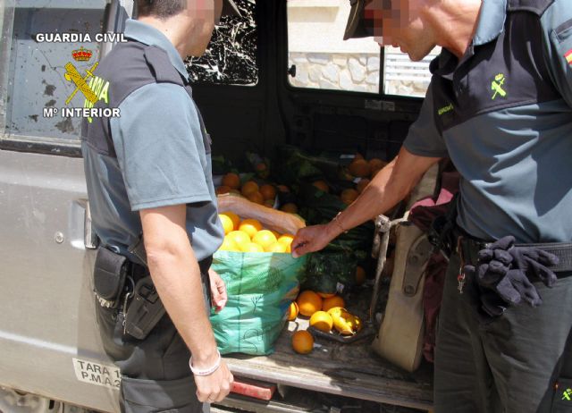 La Guardia Civil detiene a cinco personas por la sustracción de productos del campo - 2, Foto 2