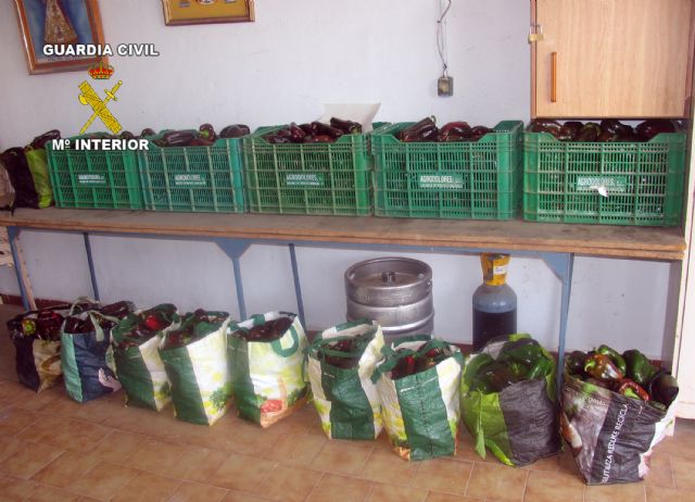 La Guardia Civil detiene a cinco personas por la sustracción de productos del campo - 4, Foto 4