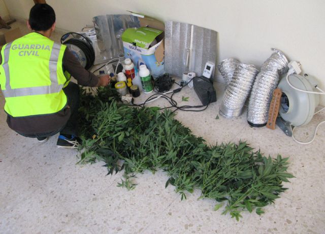 La Guardia Civil detiene a nueve personas por cultivar y traficar con marihuana - 4, Foto 4