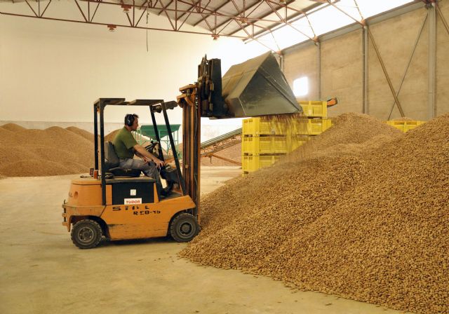 Fecoam espera una reducción del 20% en la cosecha de almendra para esta campaña - 1, Foto 1