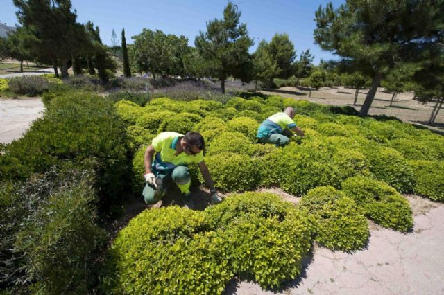 El paisaje urbano se renueva con rincones verdes - 5, Foto 5