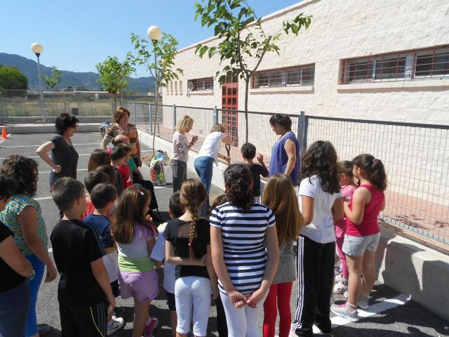 Nuevos árboles en el CEIP Juan Carlos I de Llano de Brujas - 1, Foto 1