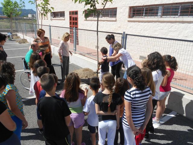 Nuevos árboles en el CEIP Juan Carlos I de Llano de Brujas - 2, Foto 2