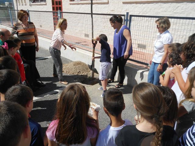 Nuevos árboles en el CEIP Juan Carlos I de Llano de Brujas - 3, Foto 3