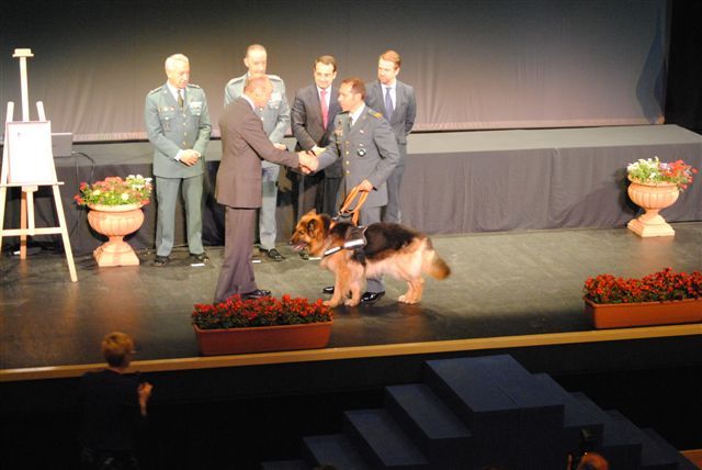 Ajax, un perro condecorado por sus servicios relevantes - 1, Foto 1