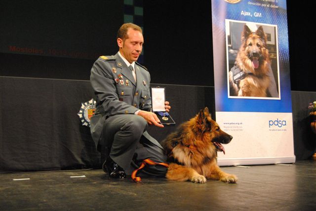 Ajax, un perro condecorado por sus servicios relevantes - 2, Foto 2