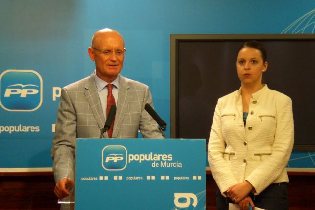 El PP aboga por una Sanidad abierta y más participativa para la ciudadanía - 2, Foto 2