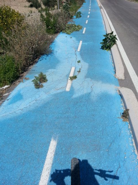 El Grupo Socialista denuncia el pésimo estado de mantenimiento del carril bici de Zeneta a Sucina - 1, Foto 1