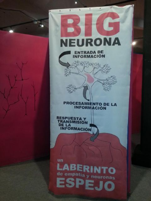 Aprendiendo la teoría de las neuronas espejo - 1, Foto 1