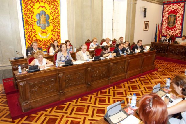 Sanidad y Seguridad Ciudadana centran el debate plenario municipal - 2, Foto 2