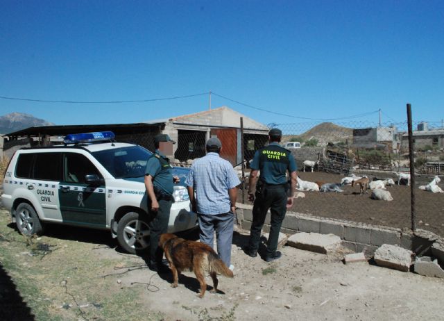 La Guardia Civil detiene a cuatro personas por sustracciones en zonas rurales de la Región - 2, Foto 2