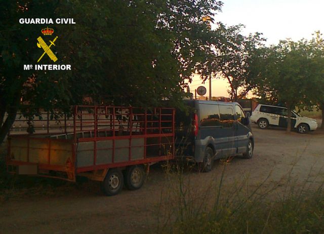 La Guardia Civil detiene a cuatro personas por sustracciones en zonas rurales de la Región - 3, Foto 3