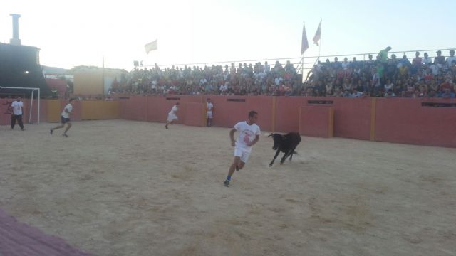 Futbol vaca celebrado en el día de ayer con motivo de las fiestas patronales de Villanueva - 1, Foto 1