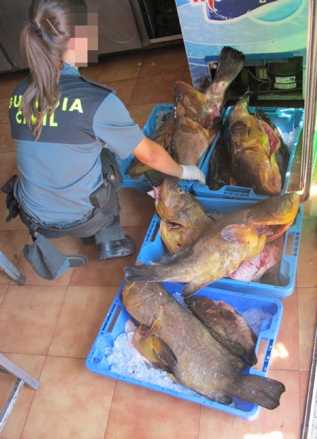 La Guardia Civil decomisa más de 600 kilos de pescado no apto para el consumo en un restaurante - 1, Foto 1