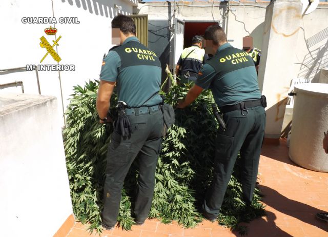 La Guardia Civil desmantela dos puntos de producción y distribución de droga en la Región - 1, Foto 1