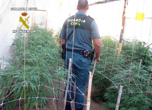 La Guardia Civil desmantela dos puntos de producción y distribución de droga en la Región - 2, Foto 2