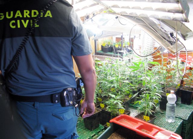 La Guardia Civil desmantela dos puntos de producción y distribución de droga en la Región - 3, Foto 3