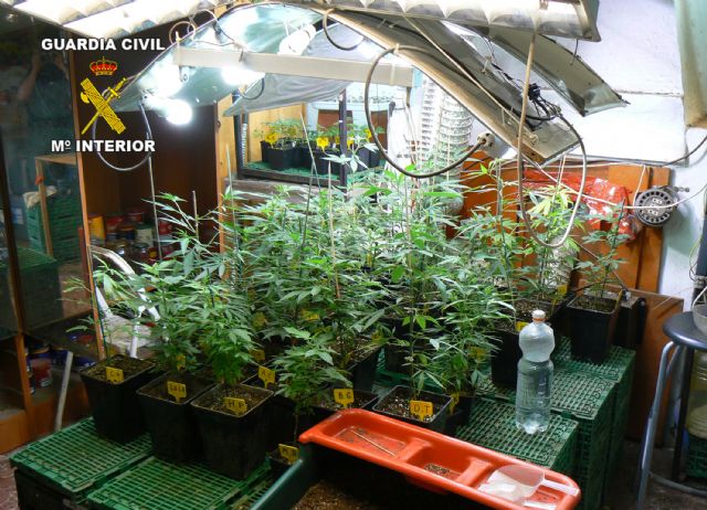 La Guardia Civil desmantela dos puntos de producción y distribución de droga en la Región - 4, Foto 4