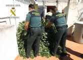 La Guardia Civil desmantela dos puntos de produccin y distribucin de droga en la Regin