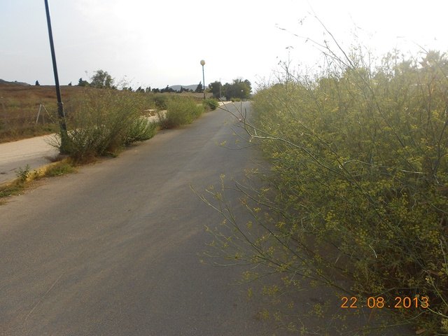 El PSOE de La Unión denuncia el estado deplorable de abandono de la zona de acceso al Cementerio Municipal - 1, Foto 1