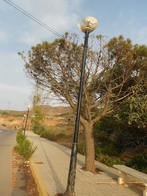 El PSOE de La Unión denuncia el estado deplorable de abandono de la zona de acceso al Cementerio Municipal - 2, Foto 2