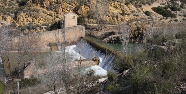 La CHS eliminará las barreras para peces en un tramo de 54 kilómetros del río Segura - 1, Foto 1