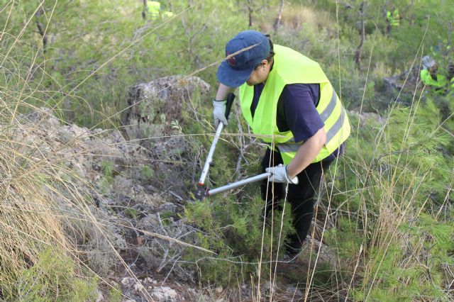 La brigada municipal de selvicultura ya está trabajando en diversos montes de Jumilla - 5, Foto 5