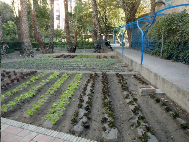 Hortalizas ornamentales decoran el jardín López Ferrer - 1, Foto 1