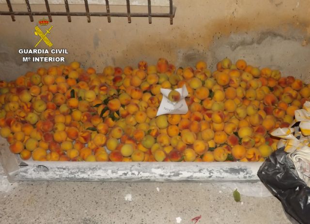 La Guardia Civil detiene a ocho personas por robos en fincas de Murcia, Torre Pacheco y Jumilla - 1, Foto 1