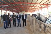 Inaugurada la tradicional Feria de Ganado Equino con la participacin de ms de 500 cabezas de ganado