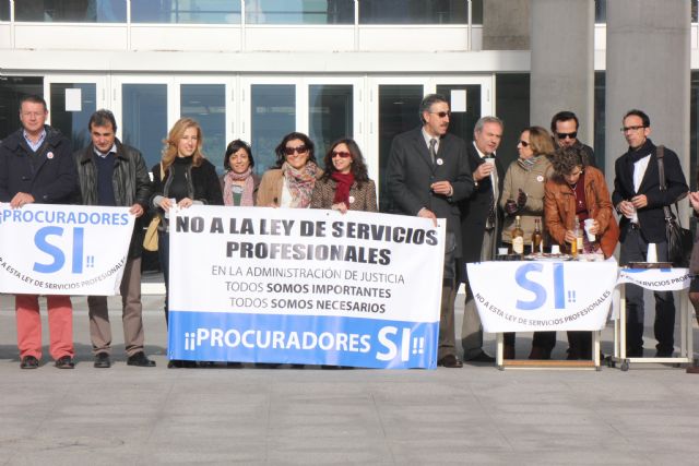 Los procuradores afirman que no pararán hasta que el Ministerio de Economía modifique la Ley de Servicios - 1, Foto 1