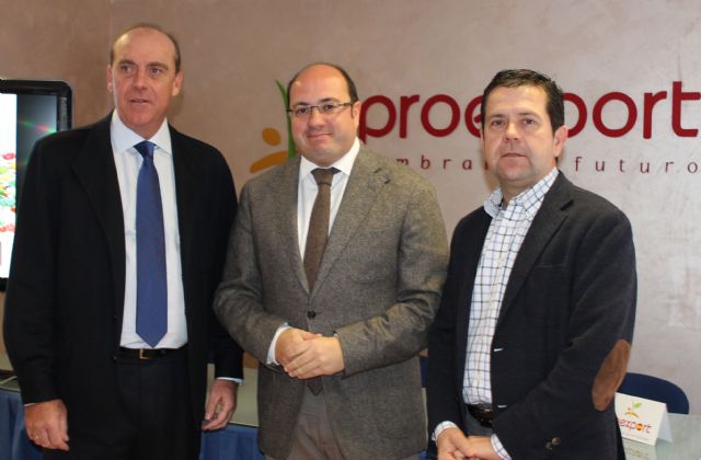 PROEXPORT y el consejero Pedro Antonio Sánchez apuestan por reforzar el Programa de Fruta en los Colegios - 1, Foto 1