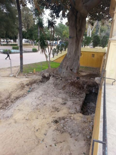 IU-Verdes denuncia que las obras de restauración de la antigua escalera del jardín botánico están paradas - 2, Foto 2