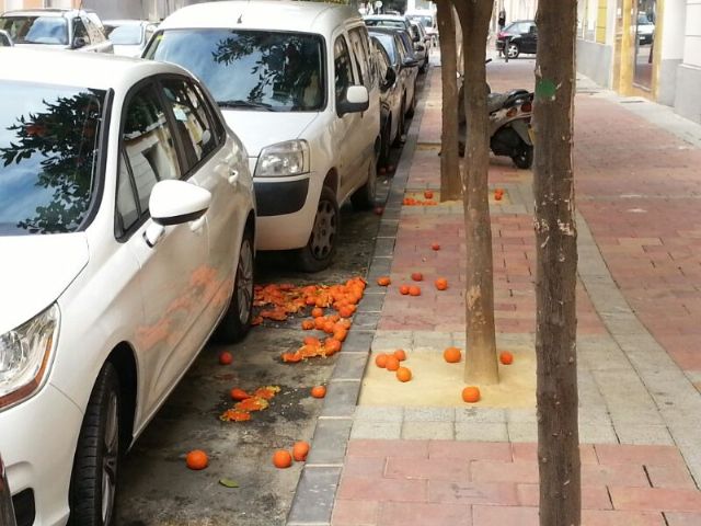 IU-Verdes denuncia la lentitud injustificada de la poda de los naranjos en la vía pública - 2, Foto 2