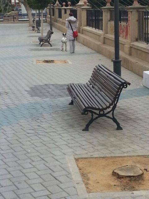 IU-Verdes pide la reposición de los árboles del paseo Escultor Juan González - 1, Foto 1