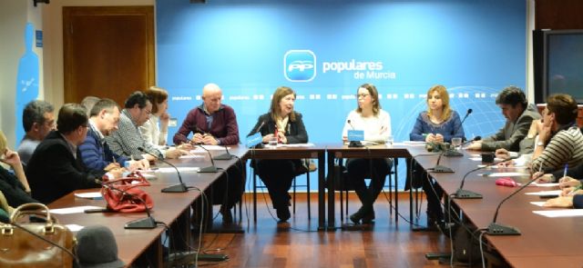 Coronado: El PP mantiene la sanidad pública como objetivo número uno de sus políticas - 2, Foto 2