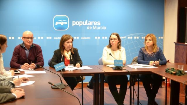 Coronado: El PP mantiene la sanidad pública como objetivo número uno de sus políticas - 3, Foto 3