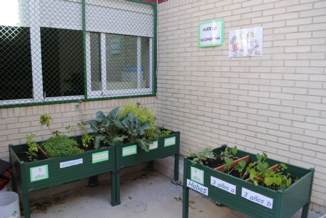 Los escolares del colegio Cervantes torreño presumen de huerto - 2, Foto 2